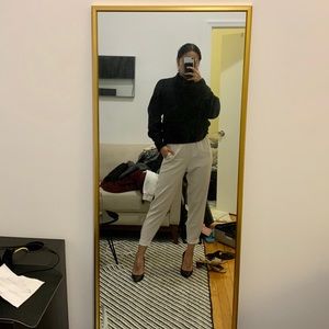 Aritzia Babaton Dexter pants